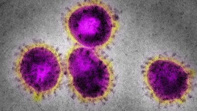 Photo of உலக அளவில் 24 மணிநேரத்தில் 14,000 புதிய பாதிப்புகள்!