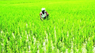 Photo of ஆழ்துளைக் கிணறுகளில் குறைந்து வரும் நீர் ஆதாரம்