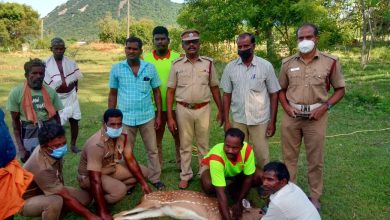 Photo of மானை உயிருடன் மீட்டு வனத்துறையினரிடம் ஒப்படைத்தனர்