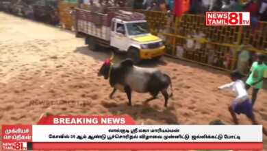 Photo of லால்குடி ஸ்ரீ மகா மாரியம்மன் கோவில் 59 ஆம் ஆண்டு பூச்சொரிதல் விழாவை முன்னிட்டு ஜல்லிக்கட்டு போட்டி