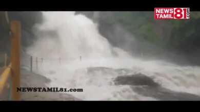 Photo of ஆழியார் கவியருவியில் திடீர் காற்றாற்று வெள்ள பெருக்கு சுற்றுலா பணிகள் செல்ல தடை..