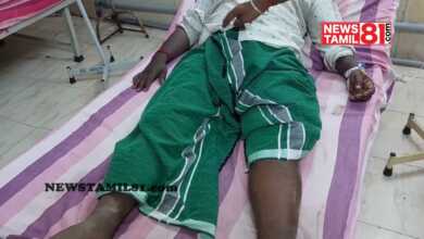 Photo of தாராபுரம் அருகே கோவிலுக்கு சென்றவர்களை தேனீக்கள் கொட்டியதில் 4வயது சிறுமி உட்பட 15 பேர் .