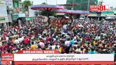Photo of காஞ்சிபுரம் ஏகாம்பரநாதர் திருக்கோவில் பங்குனி உத்திர திருவிழா 6-ஆம் நாள்